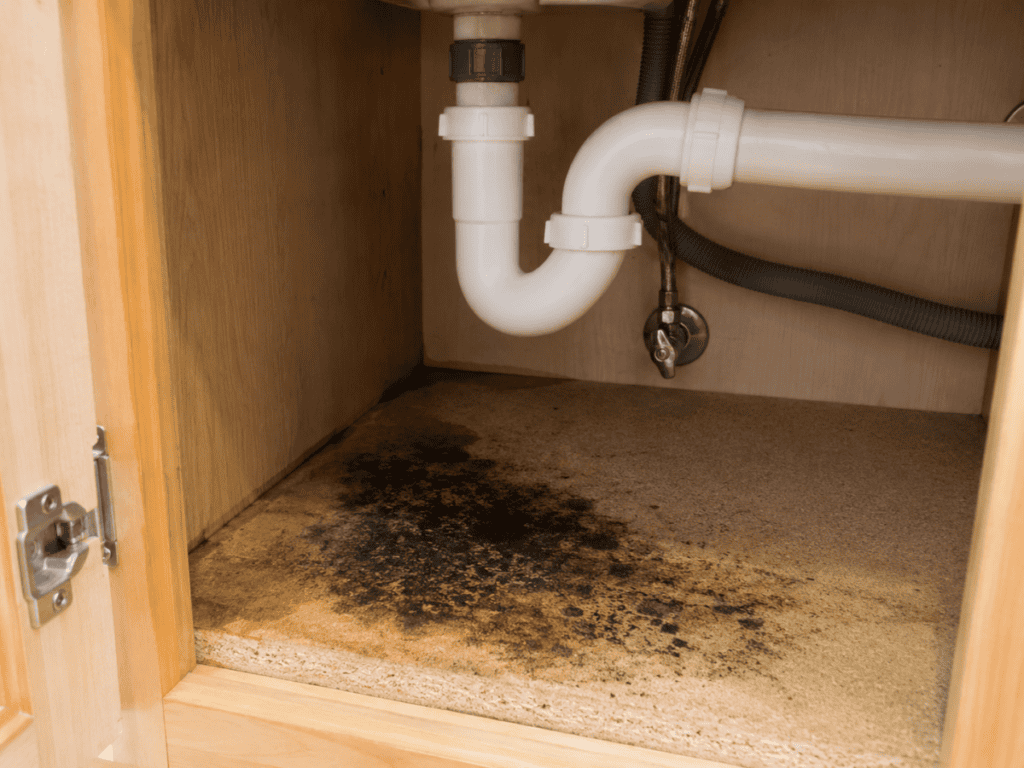 Plumbing Leak Under Sink